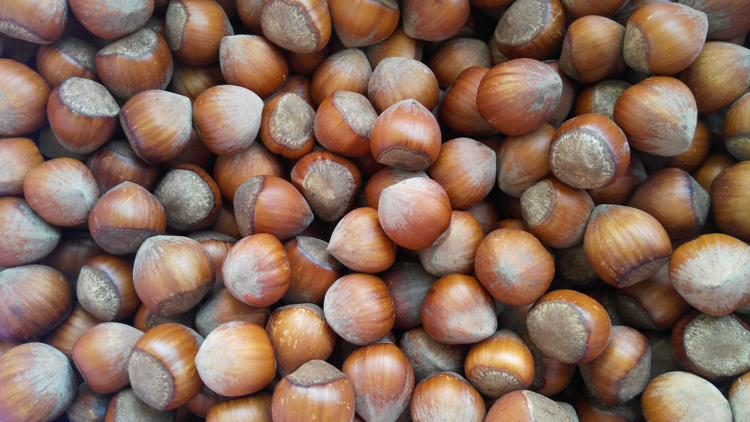 Ata-Baba (Azerbaycan)