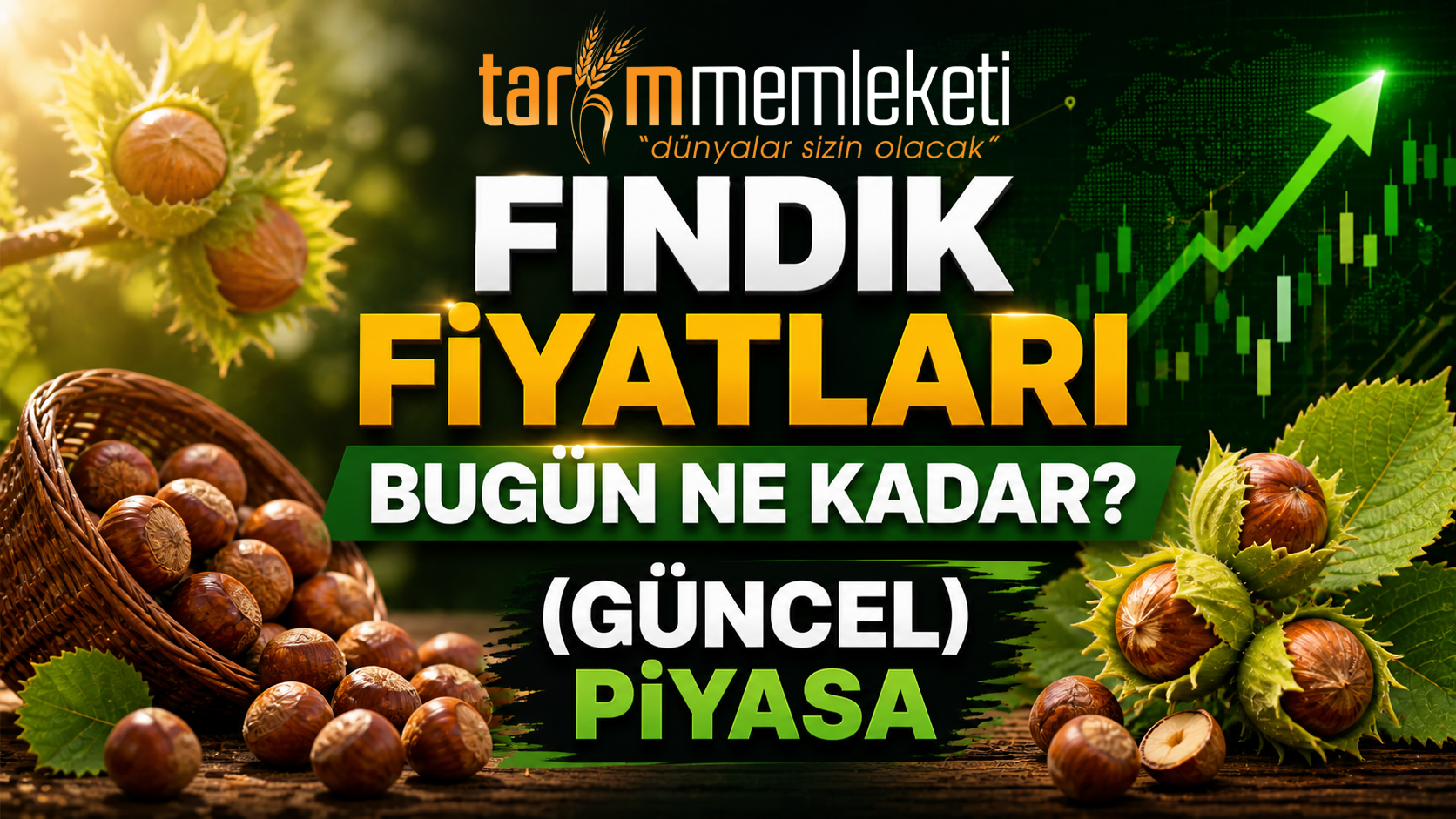 Fındık Fiyatları Bugün Ne Kadar