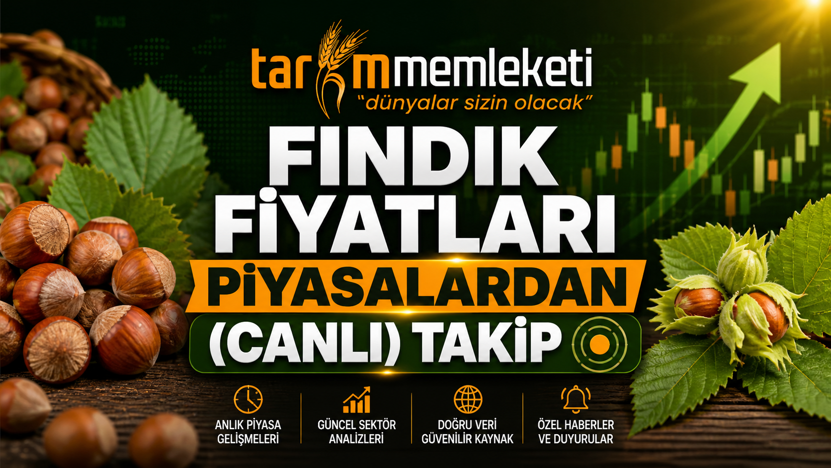 Fındık Fiyatları Canlı Takip