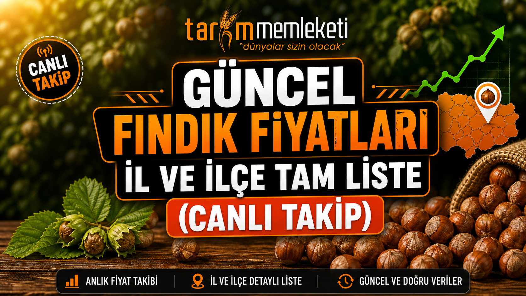 Güncel Fındık Fiyatları