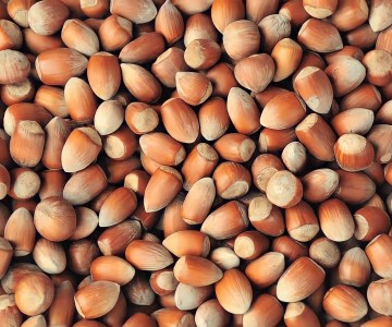 Sivri Fındık